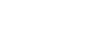 vulcanizare-alex-logo-white